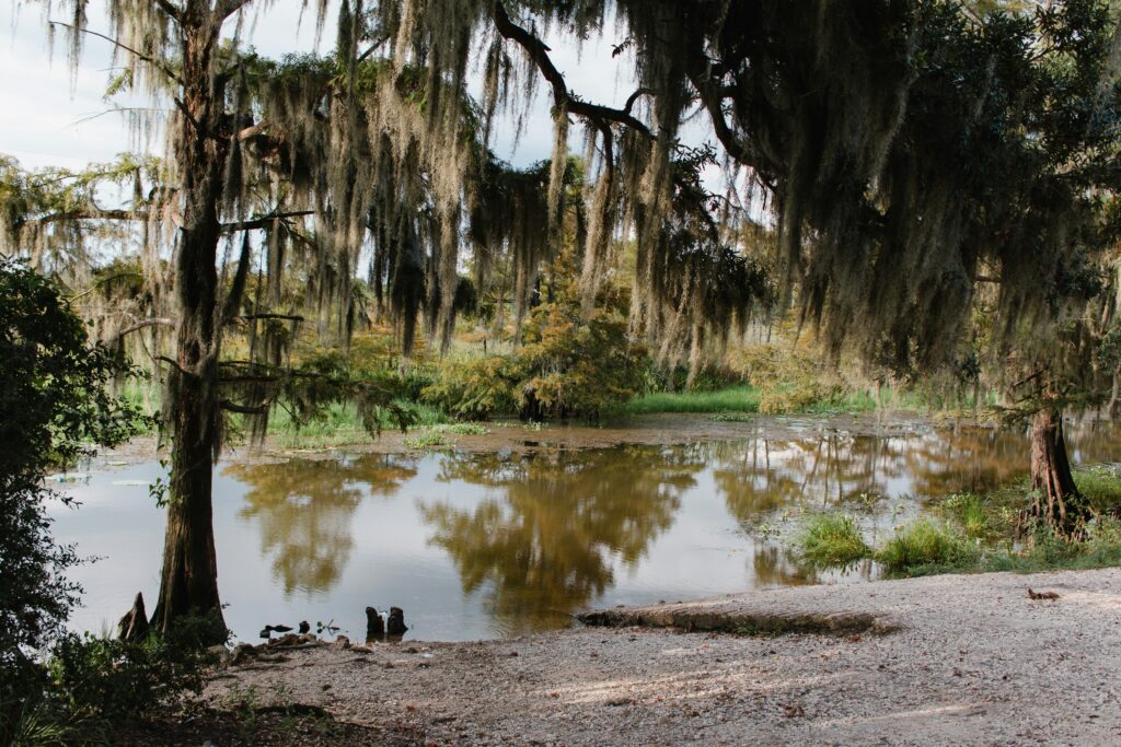 Auto insurance quotes in Louisiana state guide — Louisiana bayou