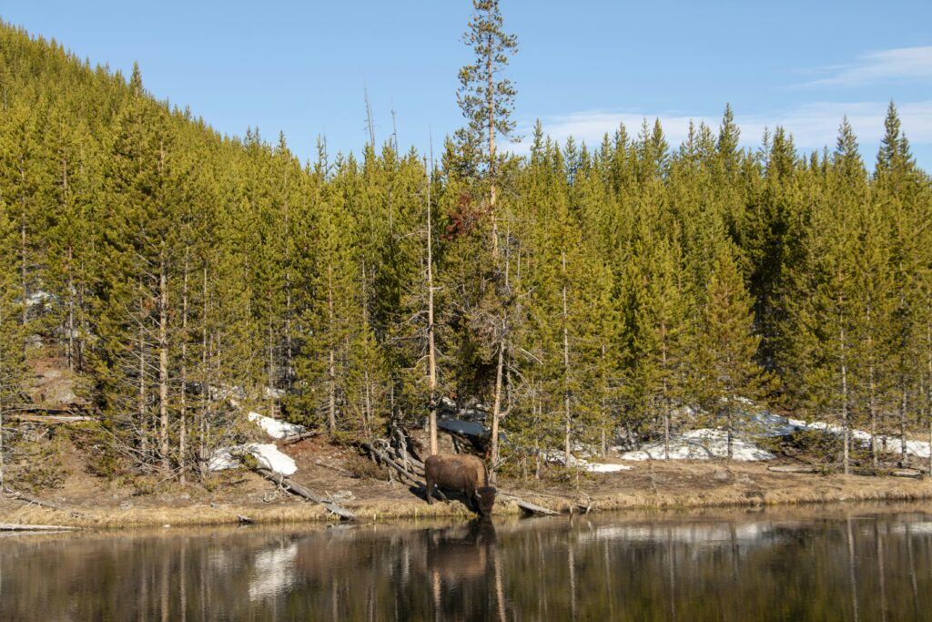 Auto insurance quotes in Arkansas — Buffalo National River